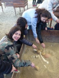 ნორჩი არქეოლოგები