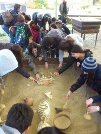 ნორჩი არქეოლოგები