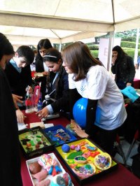 სამეცნიერო პიკნიკი