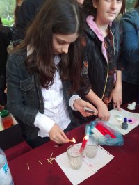 სამეცნიერო პიკნიკი