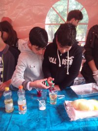 ილიაუნის სამეცნიერო პიკნიკი-2017