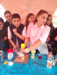 ილიაუნის სამეცნიერო პიკნიკი-2017